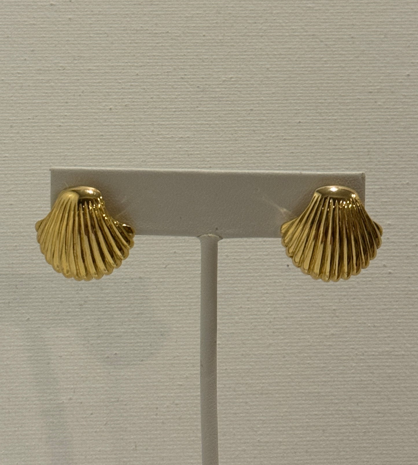 Gold Shell Earring Studs